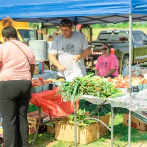 Explore Selma's Favorite Weekend Destination